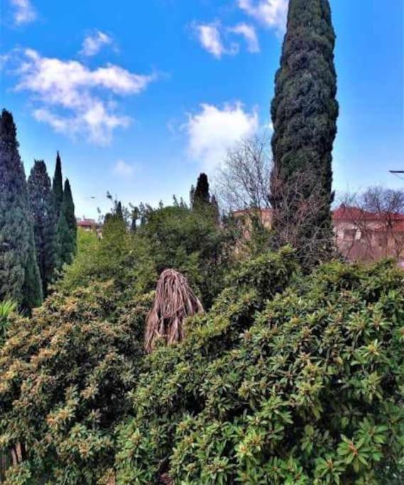 Ferienwohnung Casa Raffaello Careggi Florenz Exterior foto